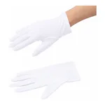 AS ONE Quality Control Glove (Nylon Double), 품질관리 장갑 (나일론 더블)