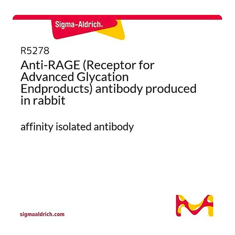Merck Anti-RAGE (Receptor for Advanced Glycation Endproducts) antibody produced in rabbit