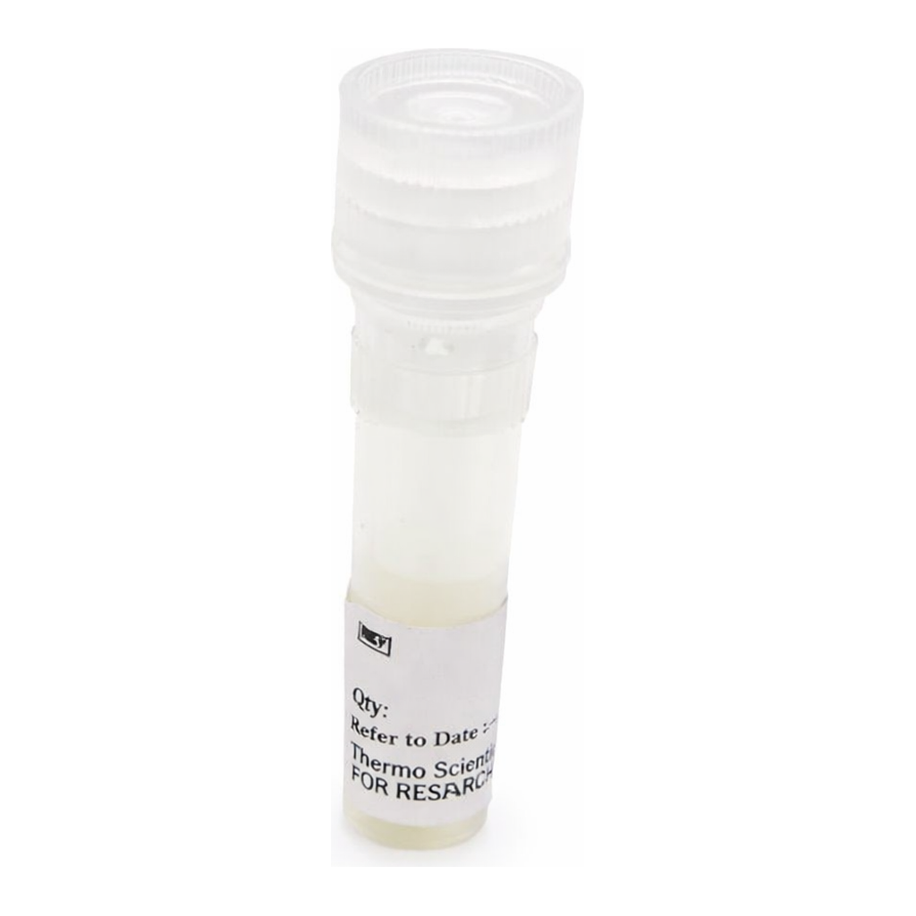 Thermo Fisher Scientific pCMV-Green Renilla Luc Vector for Luciferase Assays