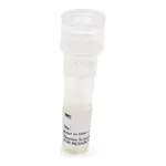 Thermo Fisher Scientific pCMV-Green Renilla Luc Vector for Luciferase Assays
