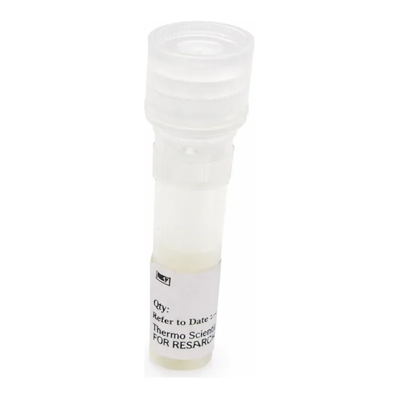 Thermo Fisher Scientific pCMV-Green Renilla Luc Vector for Luciferase Assays