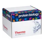 Thermo Fisher Scientific Pierce 10X Western Blot Transfer Buffer, Methanol-free, 5 L