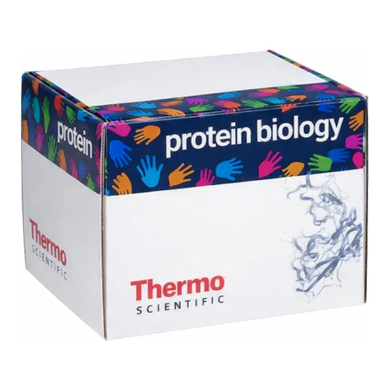 Thermo Fisher Scientific Pierce 10X Western Blot Transfer Buffer, Methanol-free, 5 L