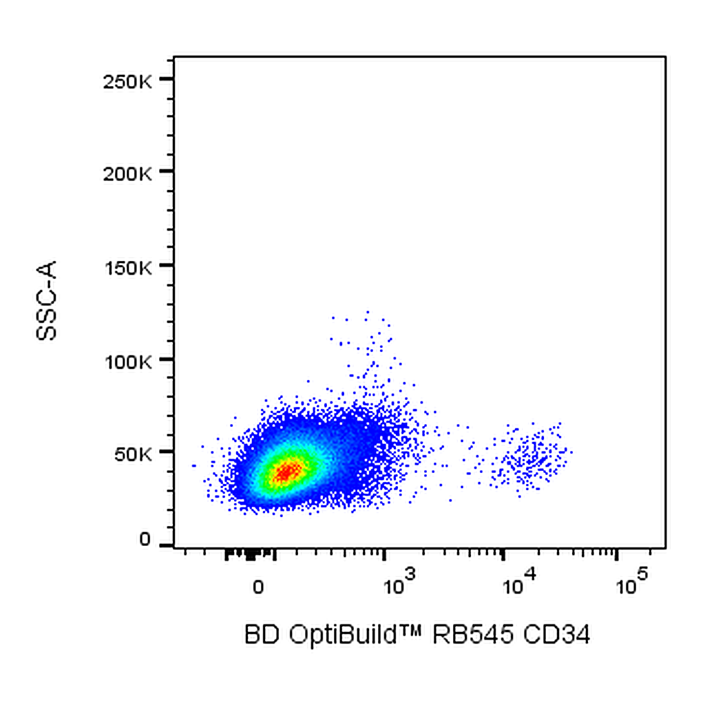 BD RB545 Mouse Anti-Human CD34