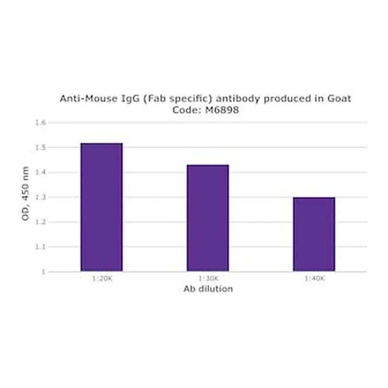 Merck ANTI-MOUSE IGG (FAB SPECIFIC) DEVELOPED&