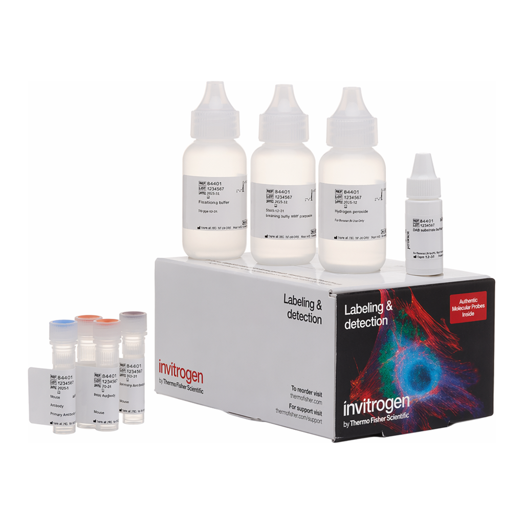Thermo Fisher Scientific Biotin XX Tyramide SuperBoost Kit, Streptavidin