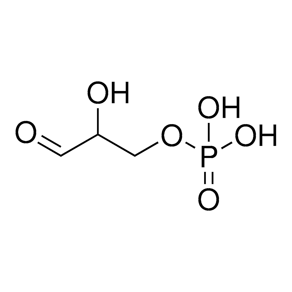 Merck DL-Glyceraldehyde 3-phosphate solution