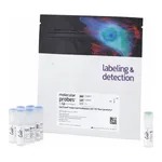 Thermo Fisher Scientific CellTrace Violet Cell Proliferation Kit, for flow cytometry, 180 assays kit