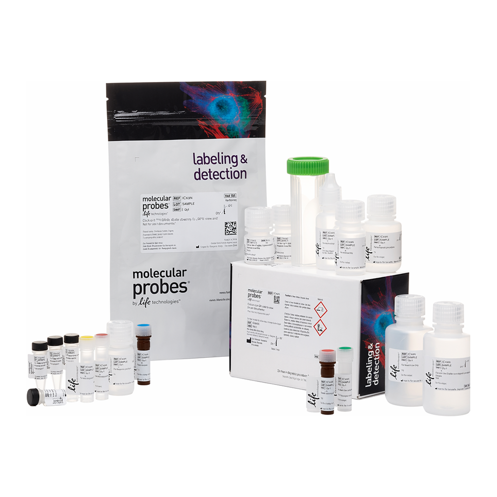 Thermo Fisher Scientific Click-iT TUNEL Colorimetric IHC Detection Kit