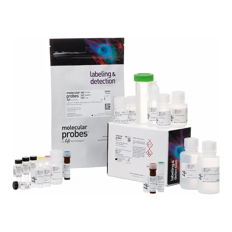 Thermo Fisher Scientific Click-iT TUNEL Colorimetric IHC Detection Kit