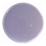 Himedia Lactobacillus MRS Agar, Granulated (MRS Agar, Granulated)