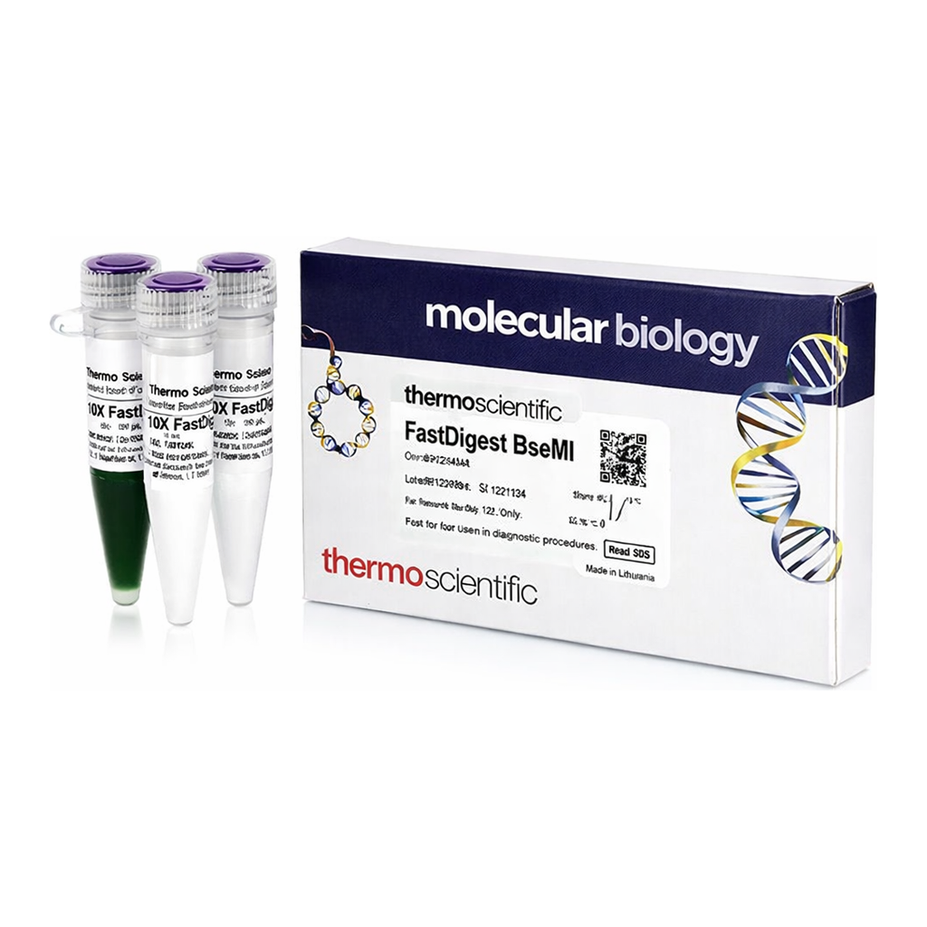 Thermo Fisher Scientific FastDigest BseMI
