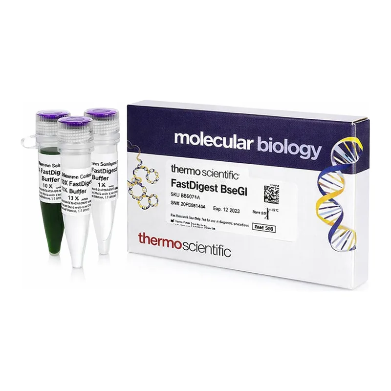 Thermo Fisher Scientific FastDigest BseGI (IIs class)
