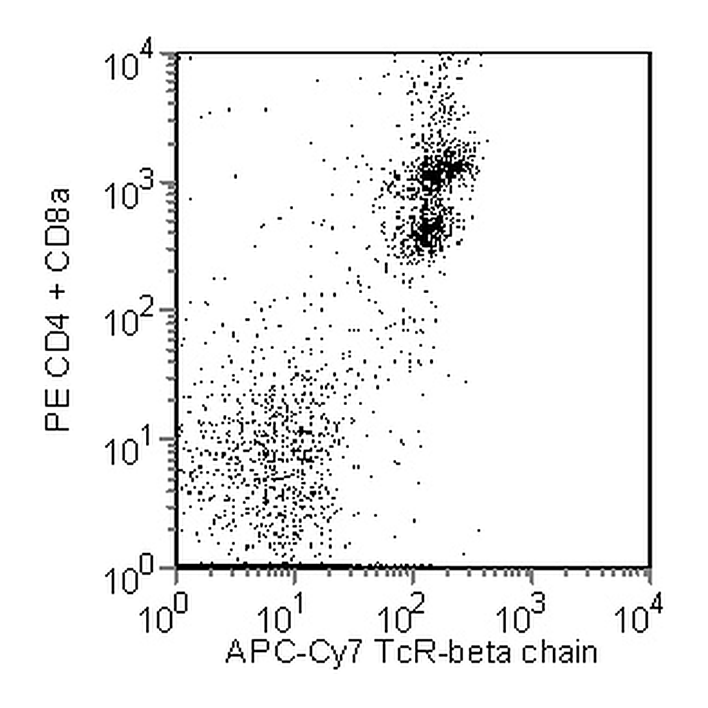 BD APC-Cy7 Hamster Anti-Mouse TCR β Chain