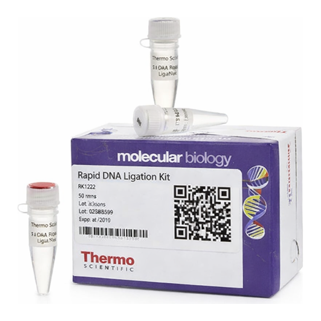 Thermo Fisher Scientific Rapid DNA Ligation Kit, 50 Reactions