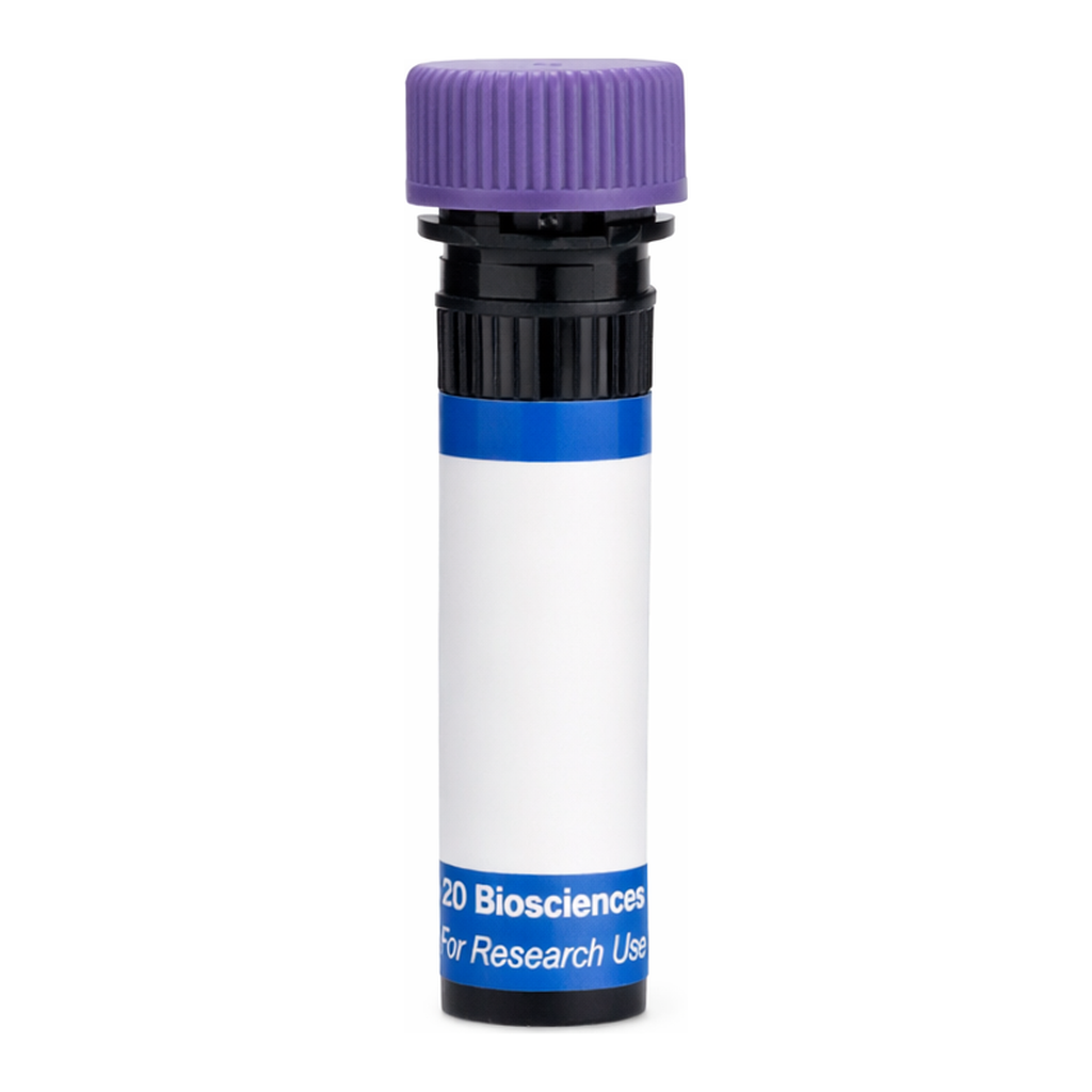 BD RB744 Mouse Anti-Human Platelet GPVI
