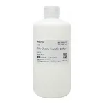Thermo Fisher Scientific Tris-Glycine Transfer Buffer (25X)