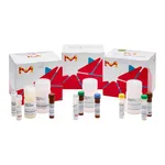 Merck GLUCOSE UPTAKE ASSAY KIT