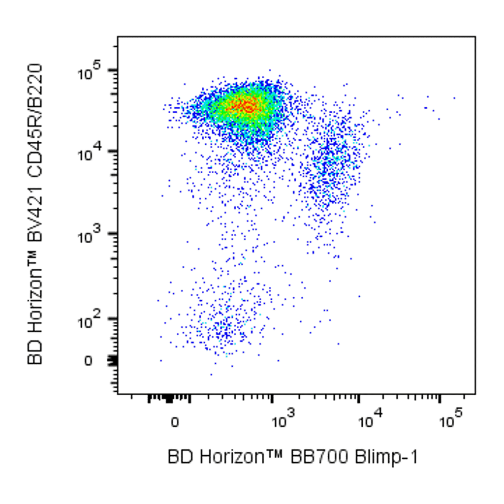 BD BB700 Rat Anti-Mouse Blimp-1
