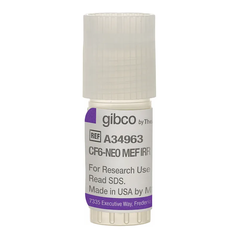 Thermo Fisher Scientific CF6-Neo Mouse Embryonic Fibroblasts, irradiated