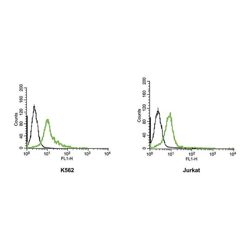Merck Anti-Potassium Channel Kv11.1 (HERG) Extracellular-FITC antibody produced in rabbit