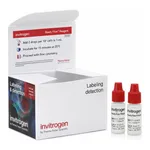 Thermo Fisher Scientific TO-PRO3 Ready Flow Reagent