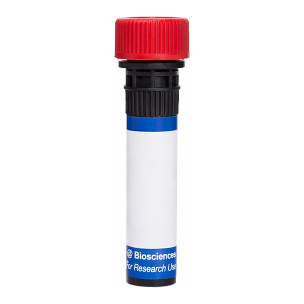 BD PE Hamster IgG3, κ Isotype Control
