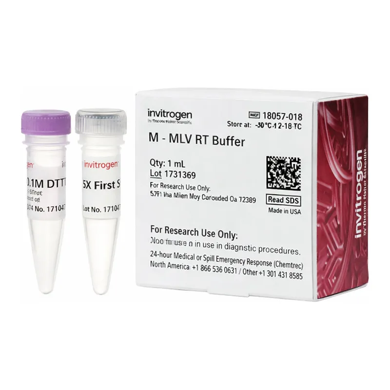 Thermo Fisher Scientific M-MLV Reverse Transcriptase Buffer