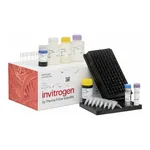 Thermo Fisher Scientific ProcartaPlex Mouse Cytokine & Chemokine Convenience Panel 1, 26plex