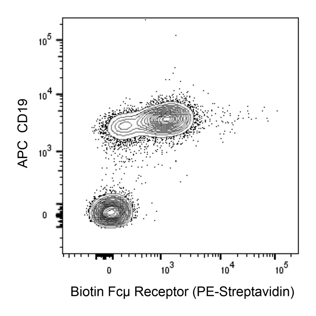 BD Biotin Mouse Anti-Mouse Fcµ Receptor