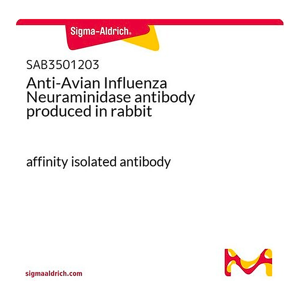 Merck Anti-Avian Influenza Neuraminidase antibody produced in rabbit