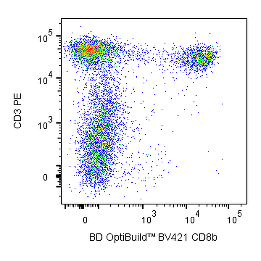 BD BV421 Mouse Anti-Rat CD8b