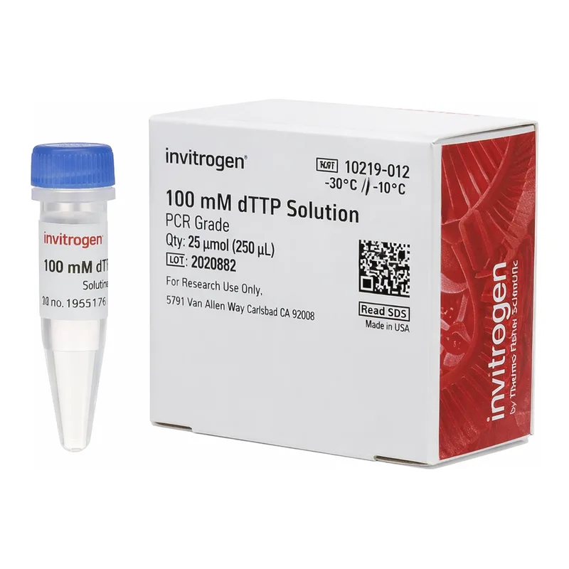 Thermo Fisher Scientific dTTP (100 mM)