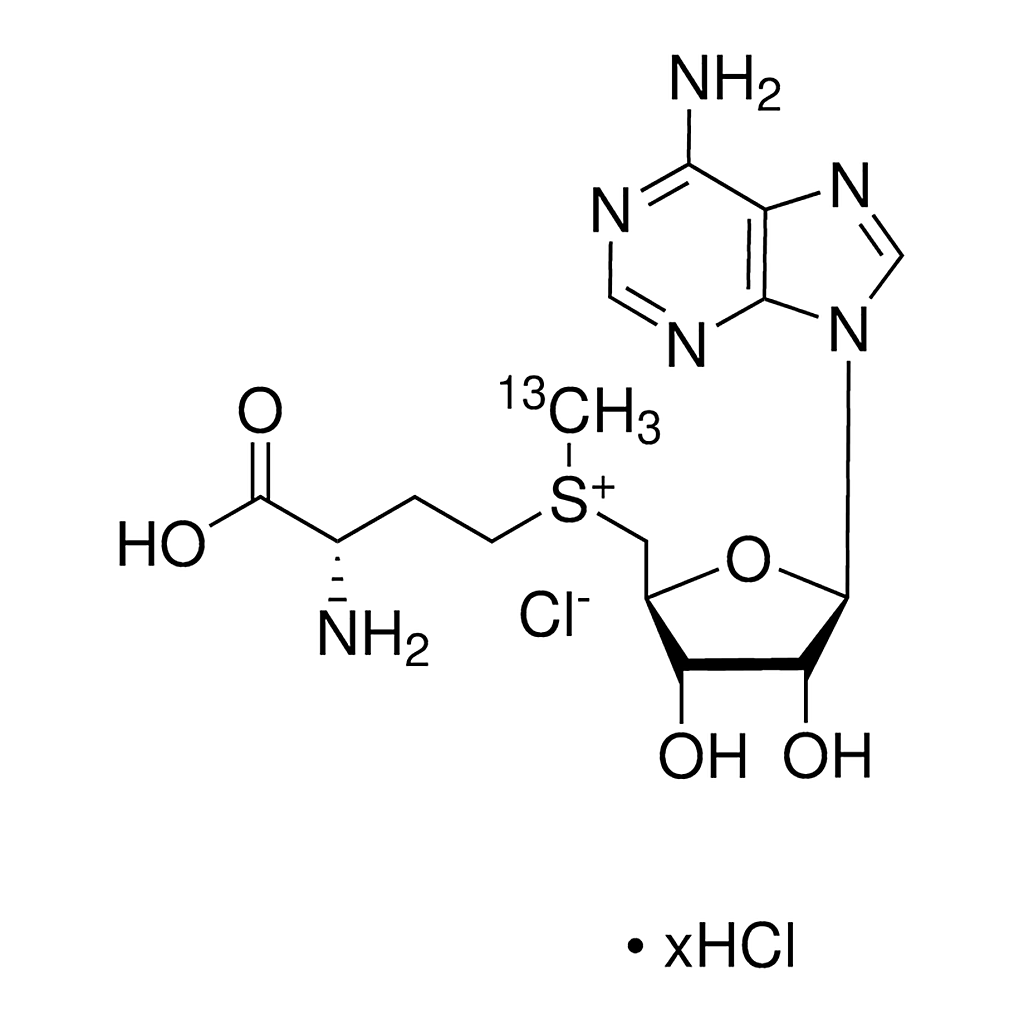 Merck S-(5'-Adenosyl) -L-methionine-(S-methyl-13C)chloride