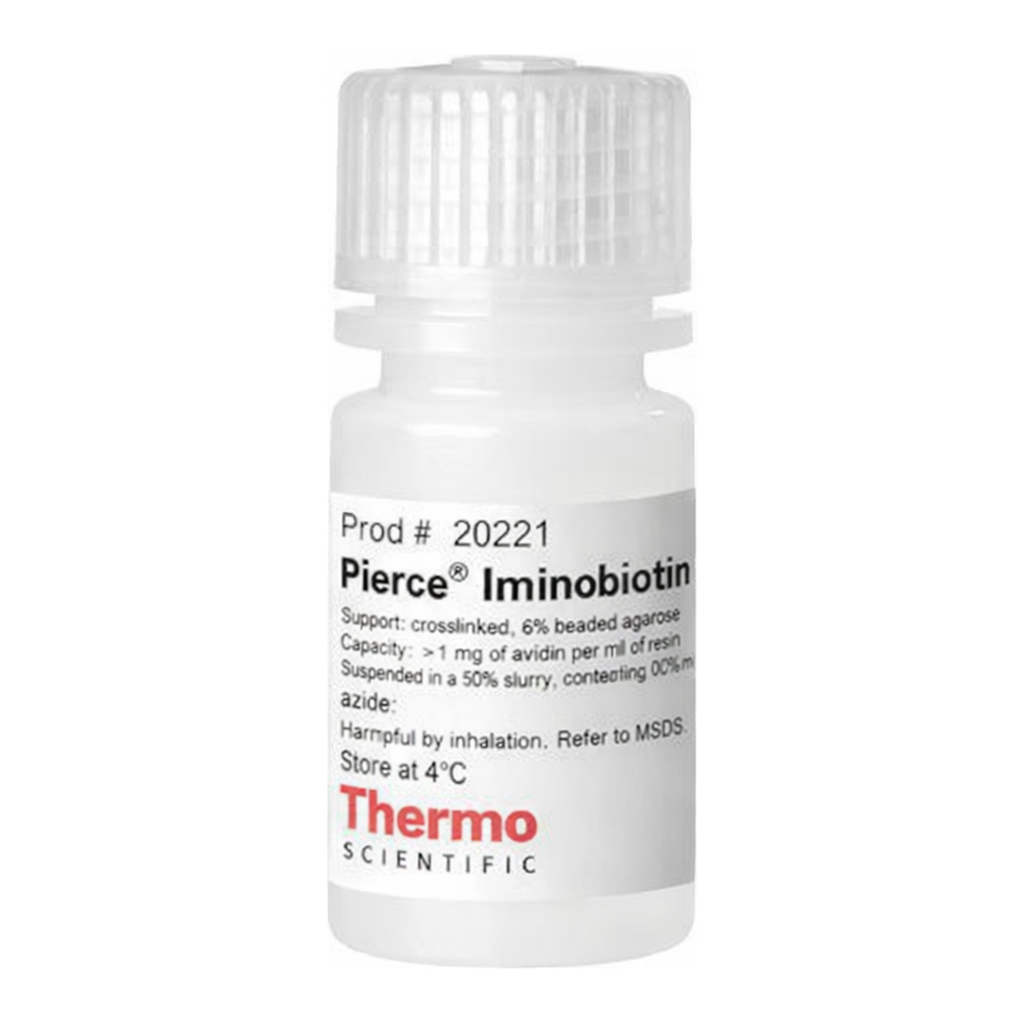 Thermo Fisher Scientific Pierce Iminobiotin Agarose