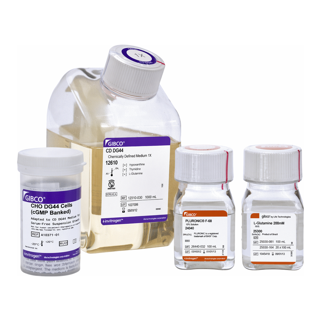 Thermo Fisher Scientific CHO DG44 Cells (cGMP banked) and Media Kit