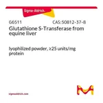 Merck Glutathione S-Transferase from equine liver