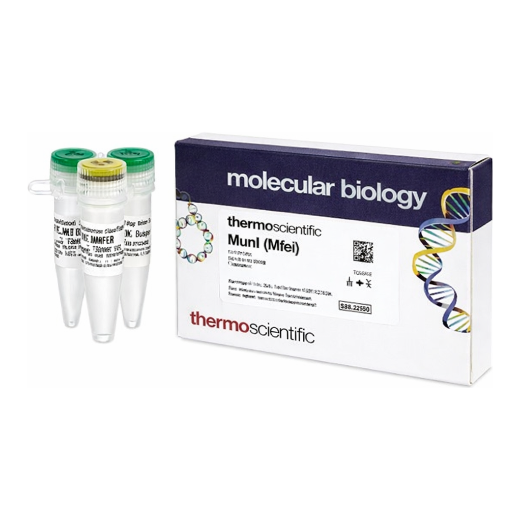 Thermo Fisher Scientific MunI (MfeI) (10 U/&mu;L), 300 units