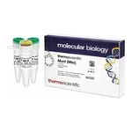 Thermo Fisher Scientific MunI (MfeI) (10 U/μL), 300 units