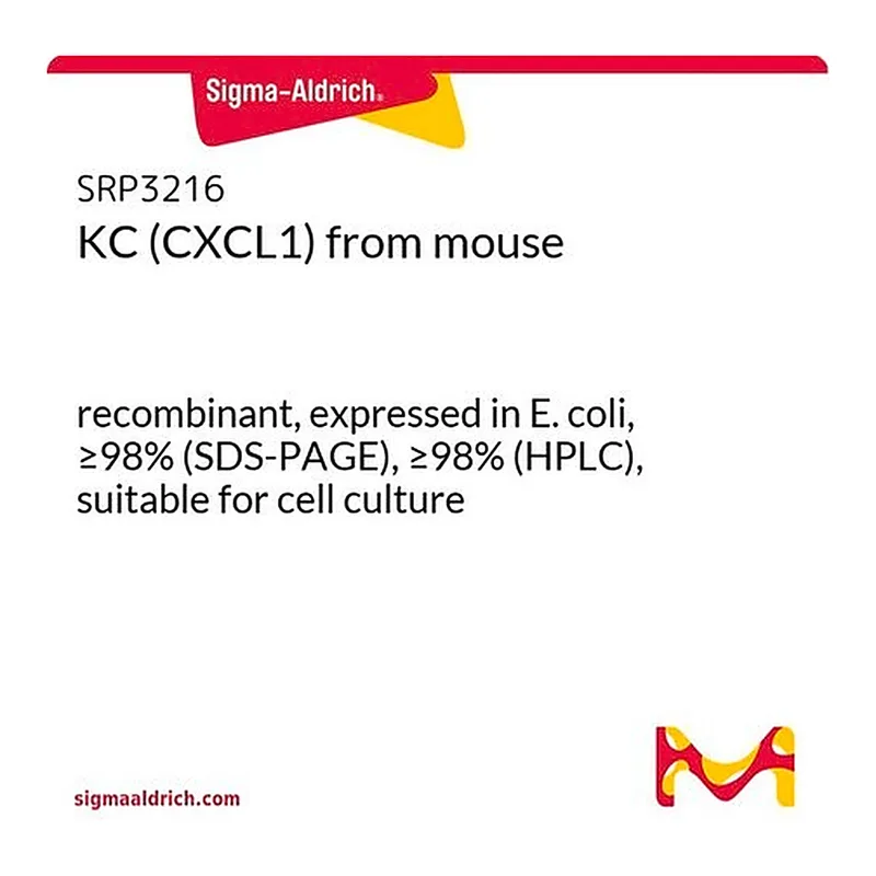 Merck KC (CXCL1) from mouse