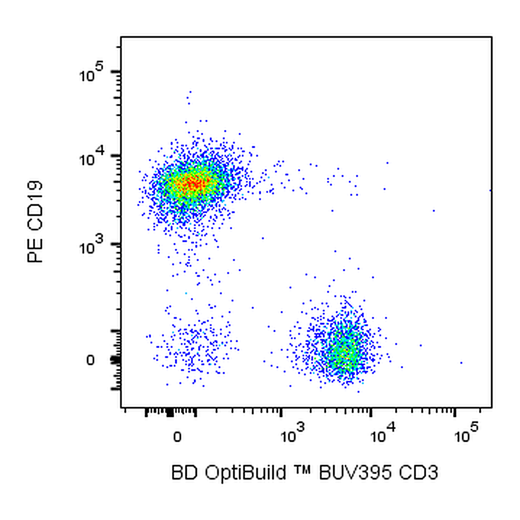 BD BUV395 Rat Anti-Mouse CD3 molecular complex