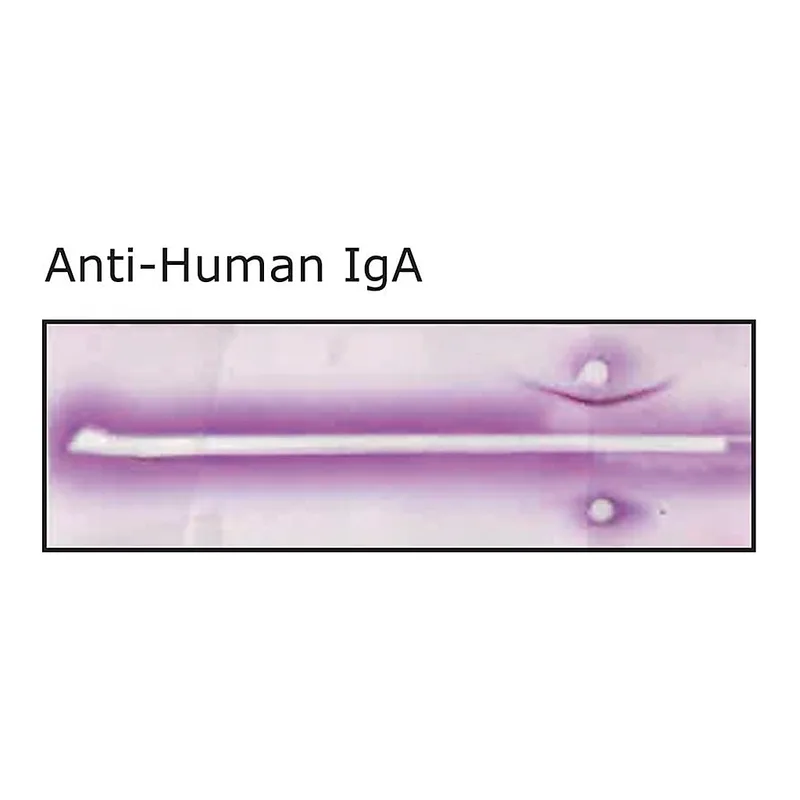 Merck Anti-Human IgA (alpha-chain specific) antibody produced in rabbit