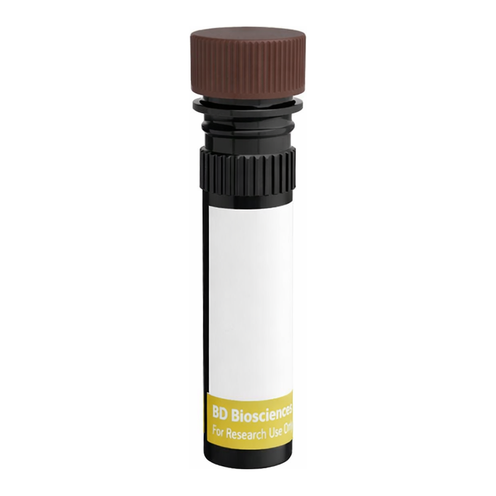 BD RY703 Mouse Anti-Human Desmoglein 2
