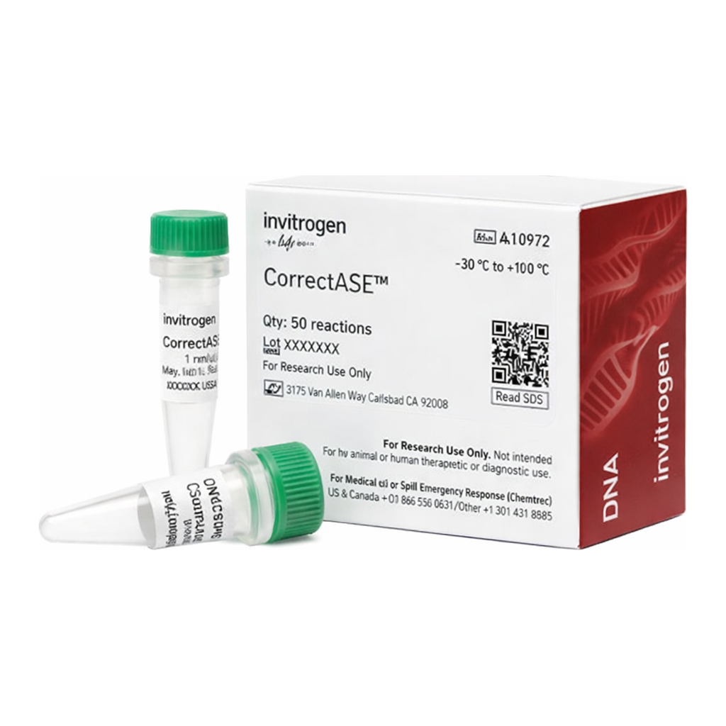 Thermo Fisher Scientific CorrectASE Enzyme, 50 Reactions