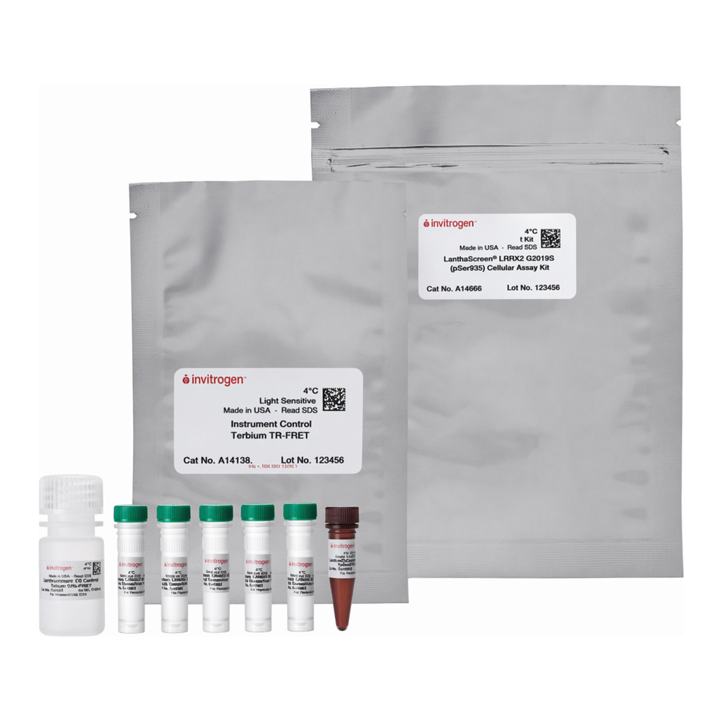 Thermo Fisher Scientific LanthaScreen LRRK2 G2019S [pSer935] Cellular Assay Kit