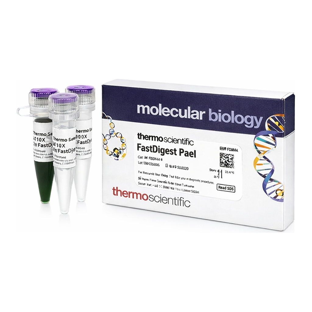 Thermo Fisher Scientific FastDigest PaeI