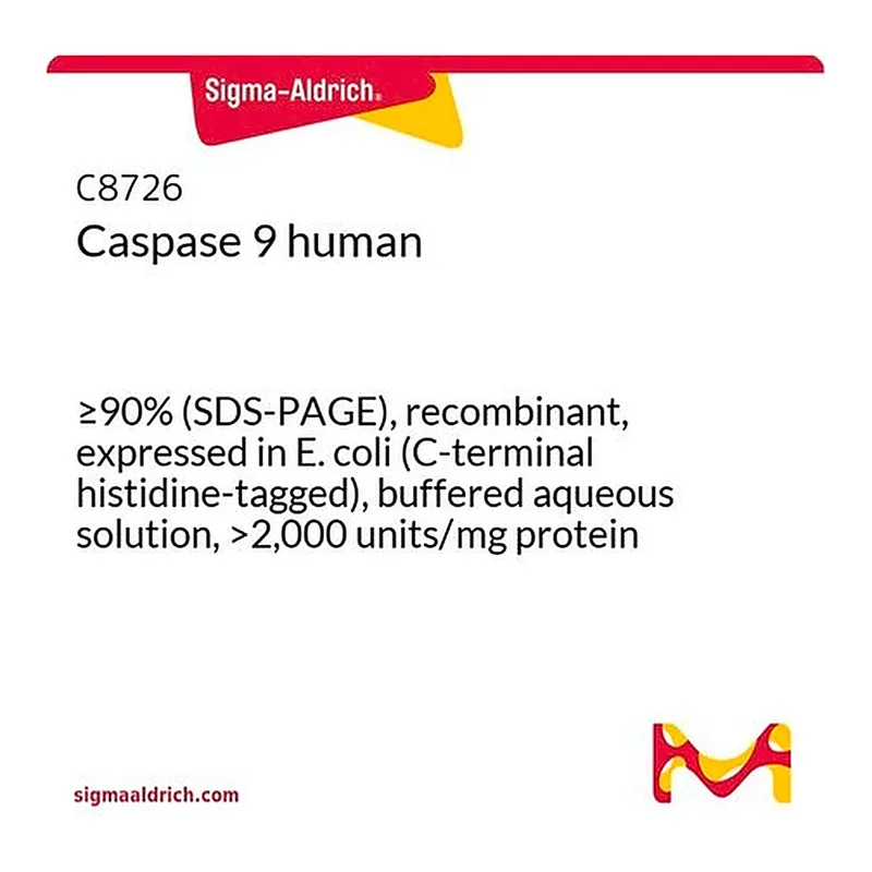 Merck Caspase 9 human