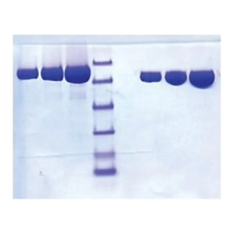Merck LACTOFERRIN FROM HUMAN MILK