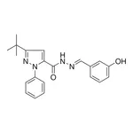 Merck 5-TERT-BUTYL-2-PH-2H-PYRAZOLE- - 10 MG &