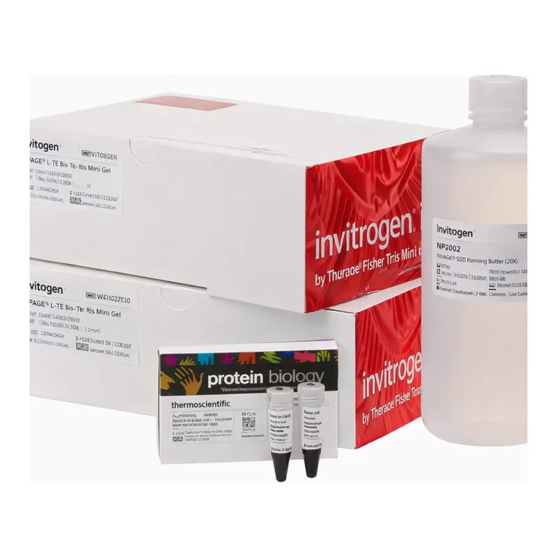 Thermo Fisher Scientific Novex Midi Tris-Glycine Plus Resupply Pack, 10%, 10 x 10 Gels kit